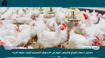 «عاجل أسعار الفراخ والبيض اليوم في الأسواق المصرية تعرف عليها الآن»
